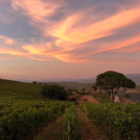 Quinta Dos Espinheiros Villa Provesende Bagian luar foto