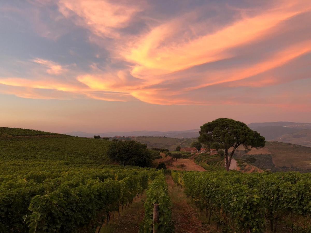 Quinta Dos Espinheiros Villa Provesende Bagian luar foto