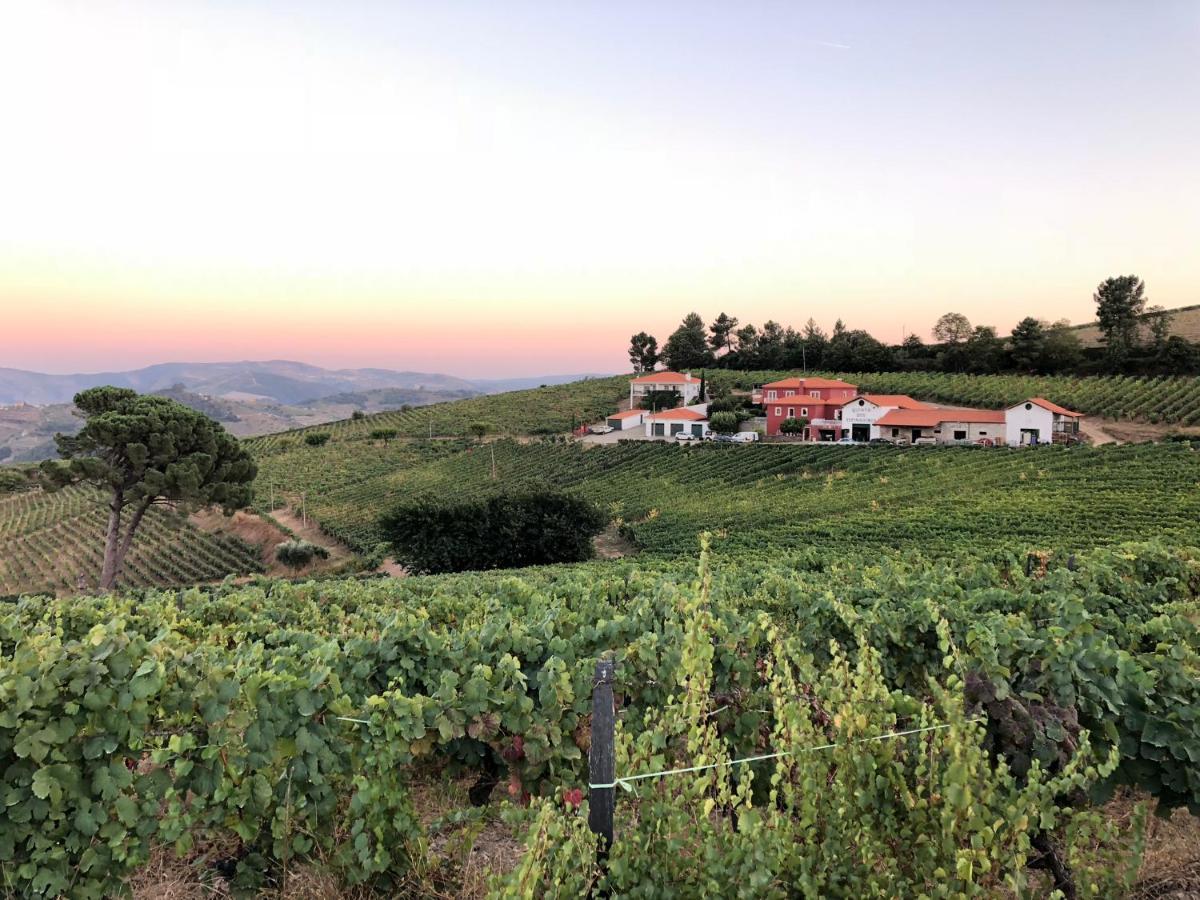 Quinta Dos Espinheiros Villa Provesende Bagian luar foto
