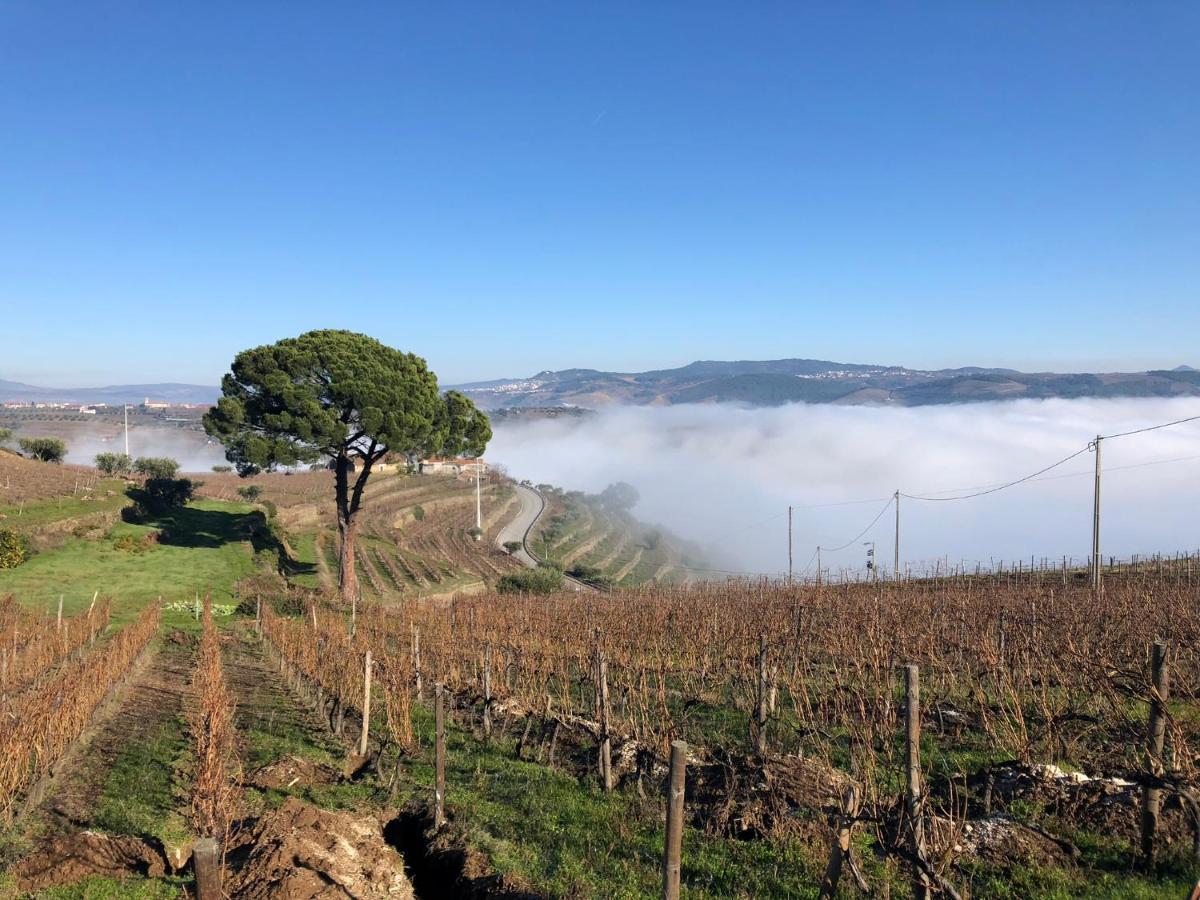 Quinta Dos Espinheiros Villa Provesende Bagian luar foto