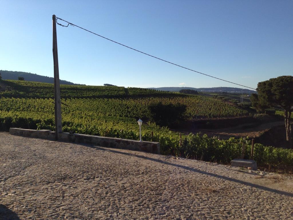 Quinta Dos Espinheiros Villa Provesende Ruang foto