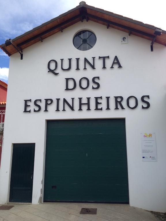 Quinta Dos Espinheiros Villa Provesende Ruang foto