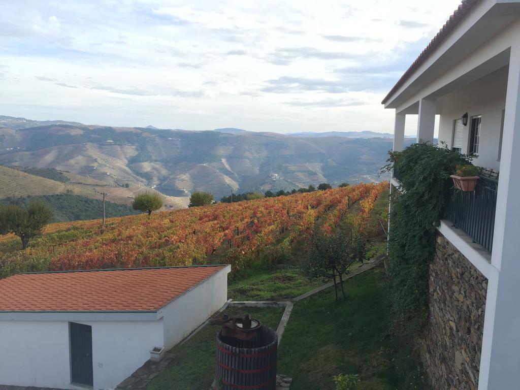 Quinta Dos Espinheiros Villa Provesende Bagian luar foto