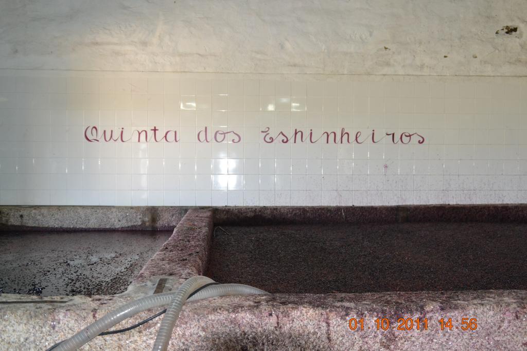 Quinta Dos Espinheiros Villa Provesende Bagian luar foto