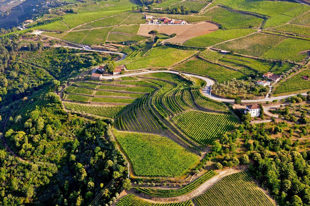 Quinta Dos Espinheiros Villa Provesende Bagian luar foto