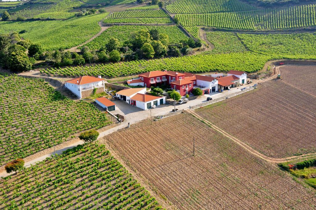 Quinta Dos Espinheiros Villa Provesende Bagian luar foto