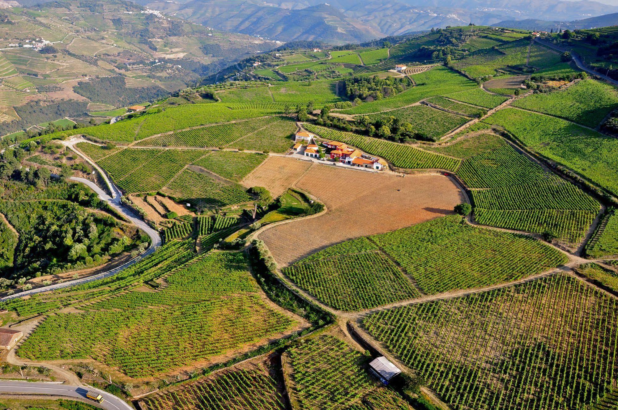 Quinta Dos Espinheiros Villa Provesende Bagian luar foto