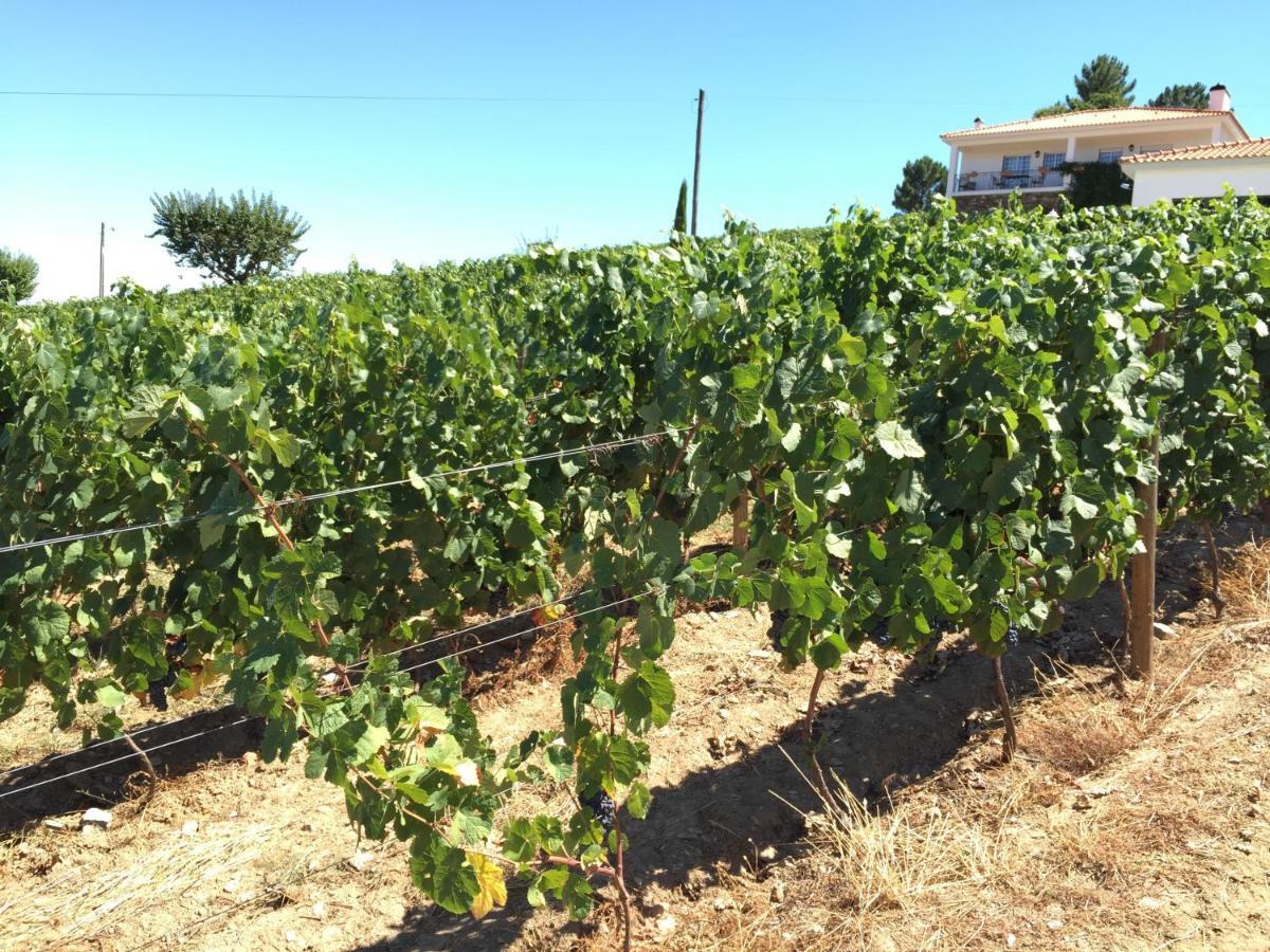 Quinta Dos Espinheiros Villa Provesende Ruang foto